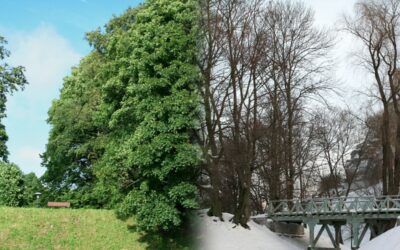 Your Guide For Self-Storage Every Season Of The Year